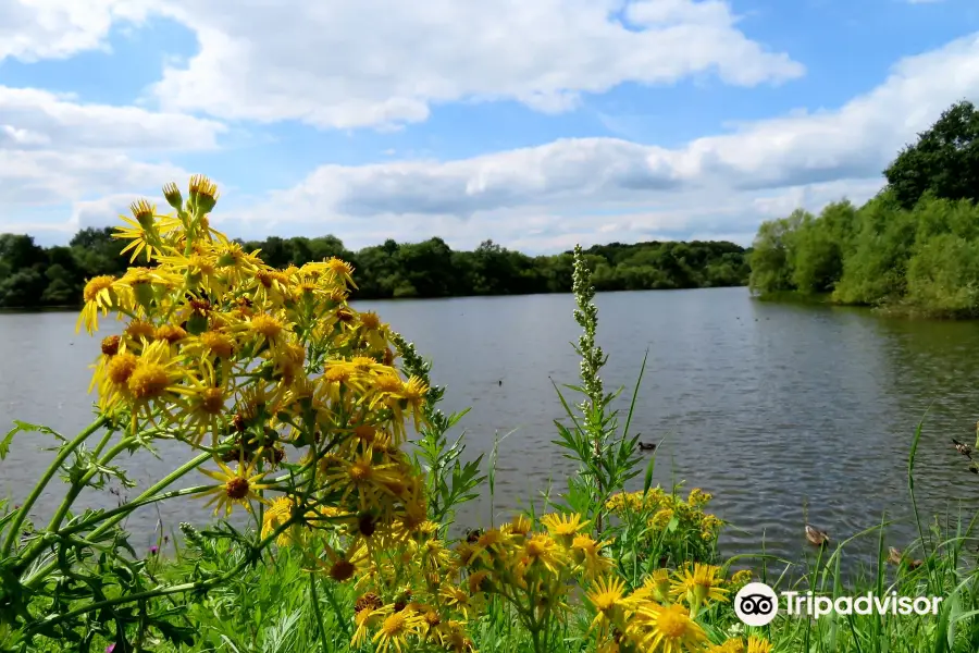 Shipley Country Park