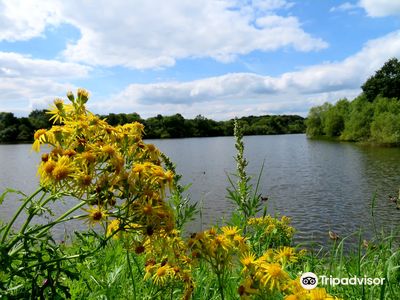 Shipley Country Park