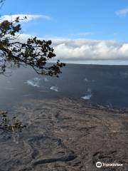 Steam Vents