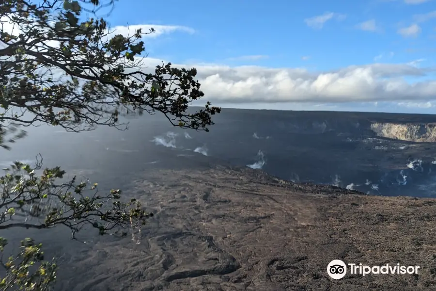 Steam Vents