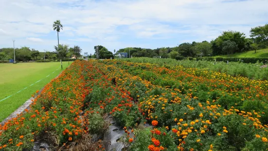 Banshooka Park