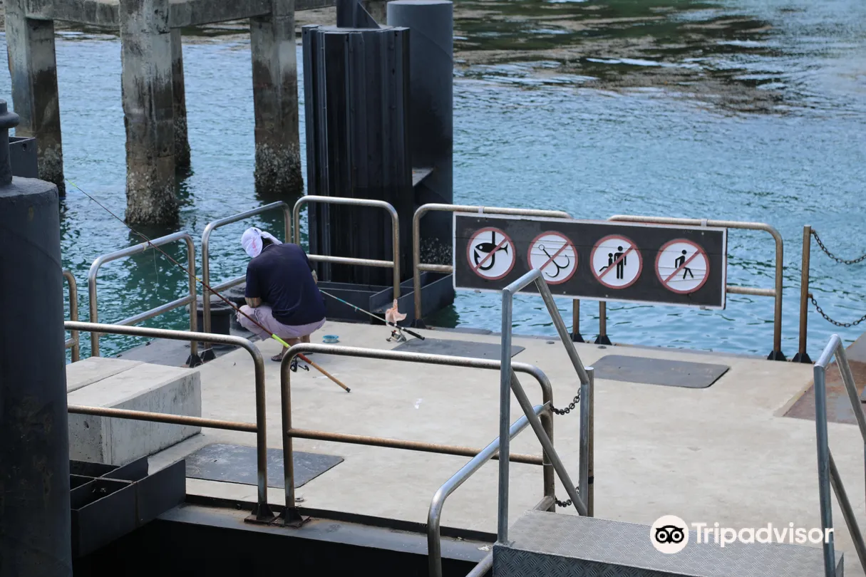 2_Saint John's Island