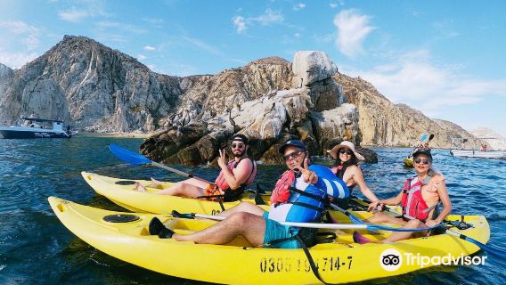 High Tide Los Cabos