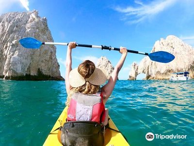High Tide Los Cabos