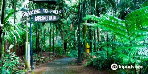 Panguil River Eco Park