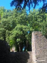 Maynooth Castle