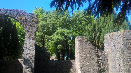 Maynooth Castle