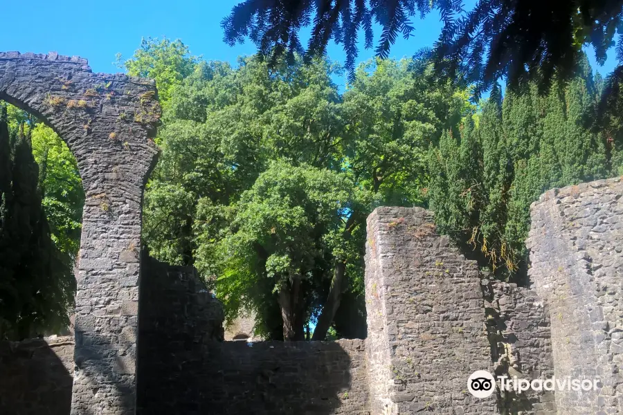 Château de Maynooth