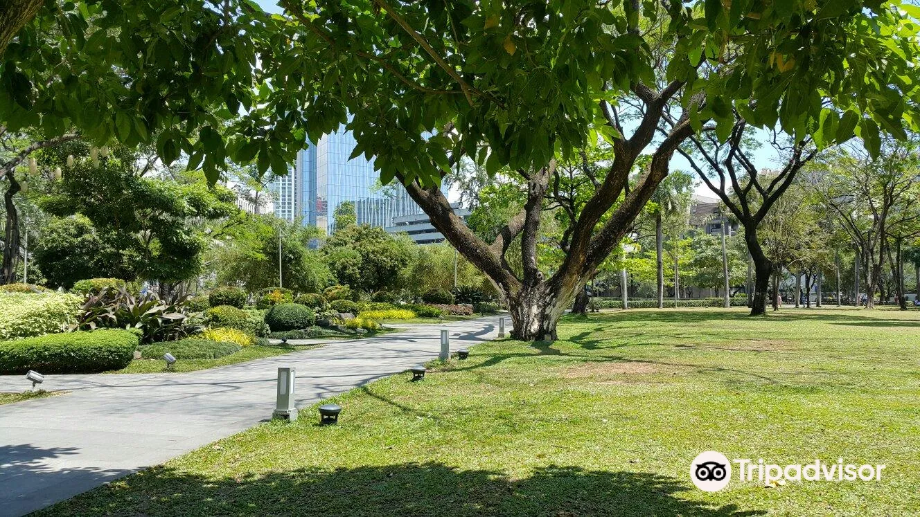 4_Ayala Triangle Gardens