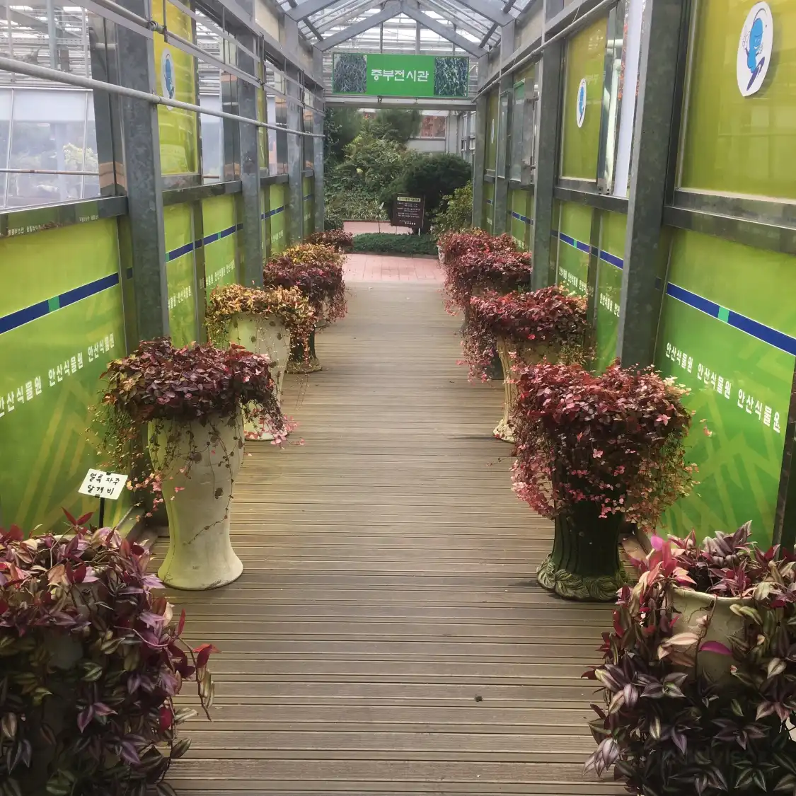 Hotels in der Nähe von Ansan Botanical Garden