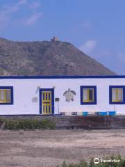 Centro Recupero Tartarughe Marine