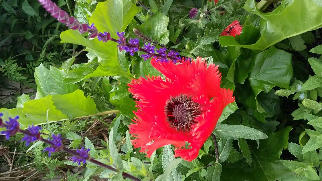 더 히든 가든스 주변 호텔