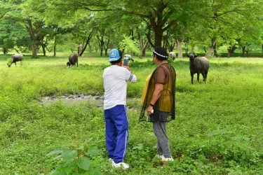 道萊縣
