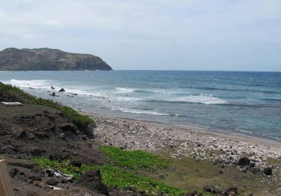 Lynch Bay Beach