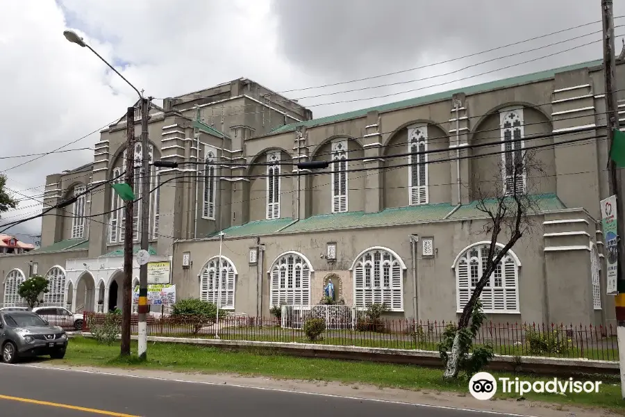 Cathedral of the Immaculate Conception