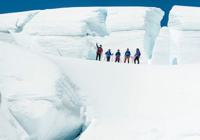 Mt Cook Glacier Guiding