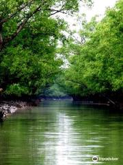 The Sundarbans