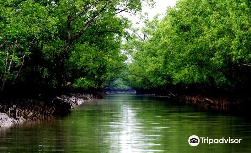 Sundarbans