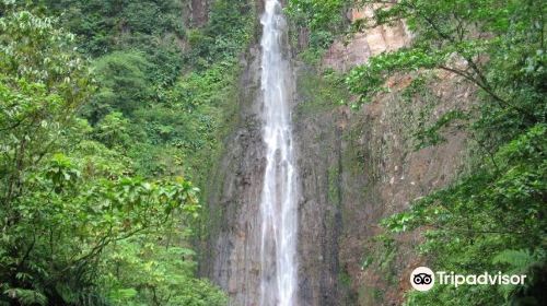 Carbet Falls (Les Chutes du Carbet)