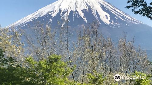 河口湖想像の森