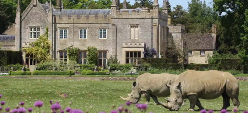 Hotels in Burford