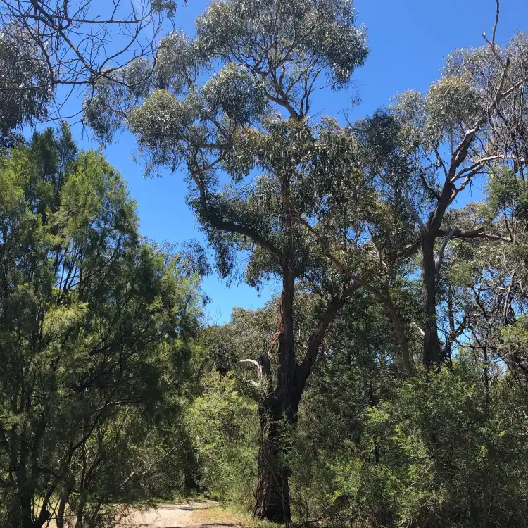 Hôtels à : Rowville