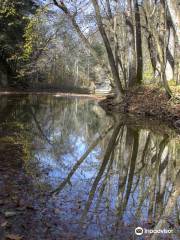 Shades State Park