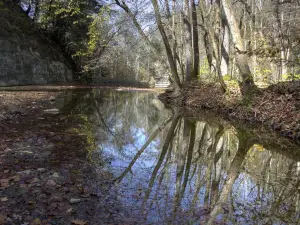 Shades State Park