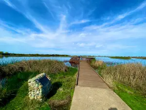 Cosumnes River Preserve