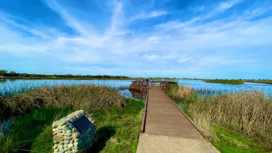 Cosumnes River Preserve