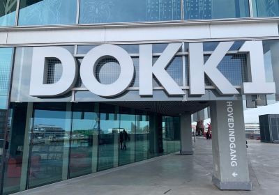 Dokk1