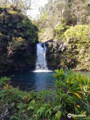 Pua'a Ka'a State Wayside