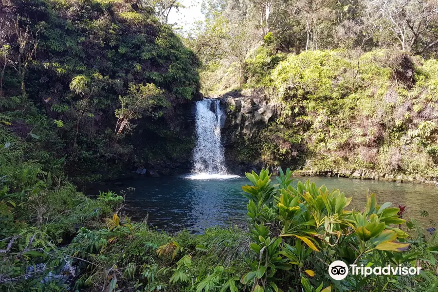 Pua'a Ka'a State Wayside