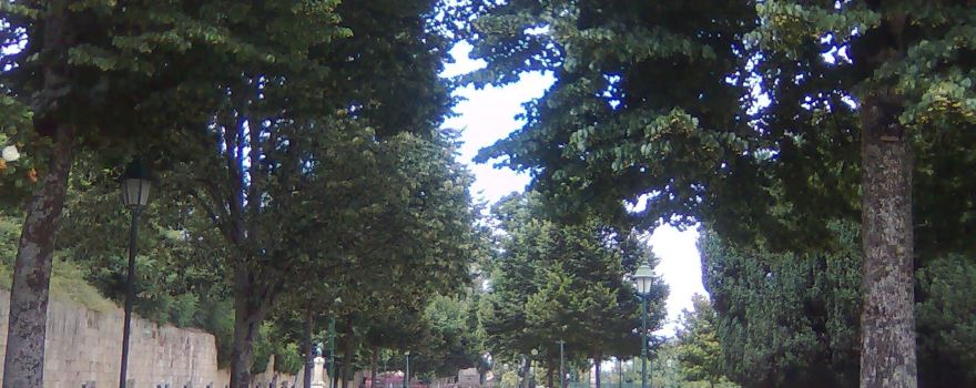 Jardim da Carreira
