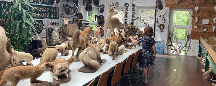 Erlebnismuseum Lernort Natur