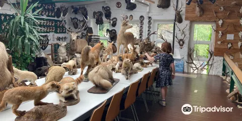 Erlebnismuseum Lernort Natur