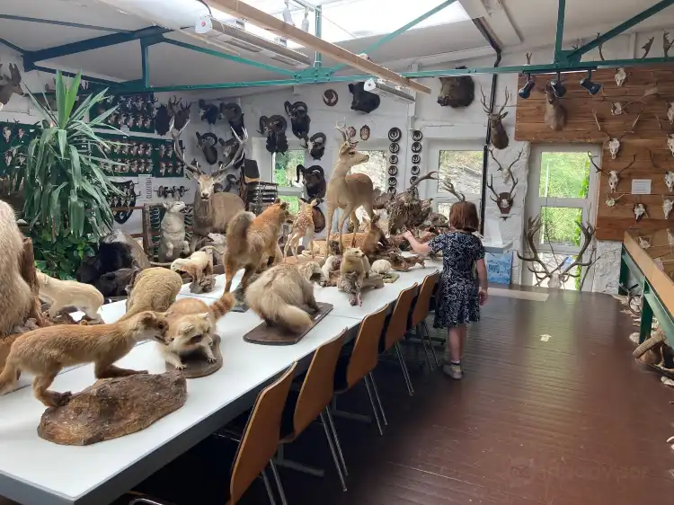 Các khách sạn gần Erlebnismuseum Lernort Natur