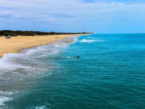 Sebastian Inlet State Park