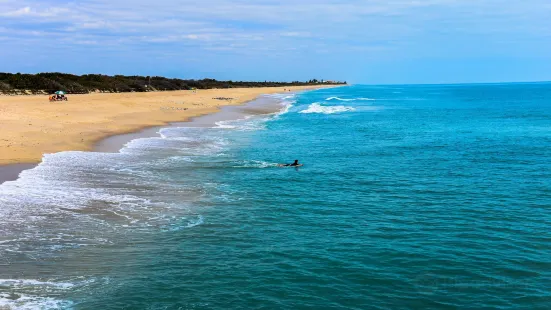 Sebastian Inlet State Park