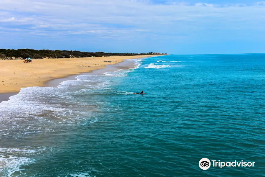 Sebastian Inlet State Park