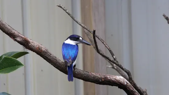 On the Perch Bird Park