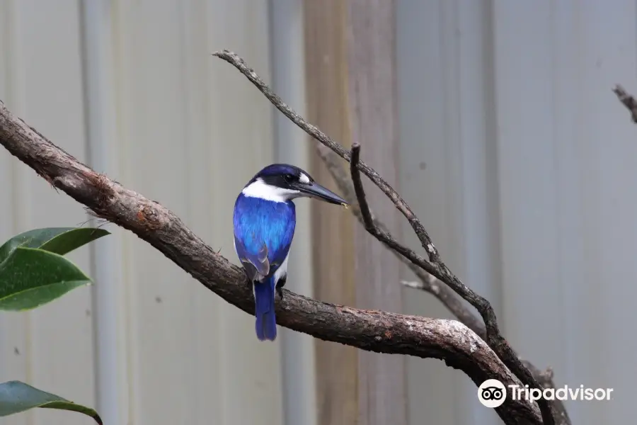 On the Perch Bird Park