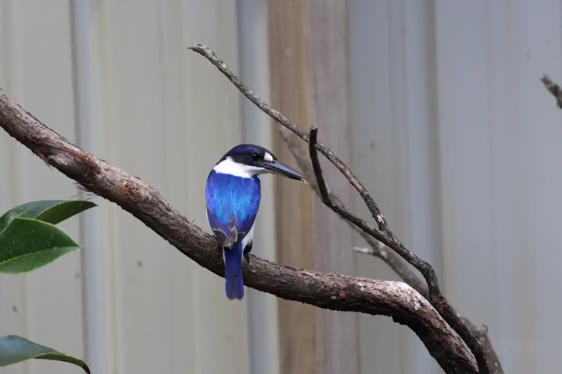 Hotels near On the Perch Bird Park