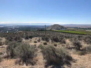 Badger Mountain Centennial Preserve