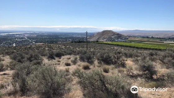 Badger Mountain Centennial Preserve