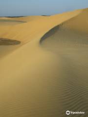 Dunes of Coro National Park