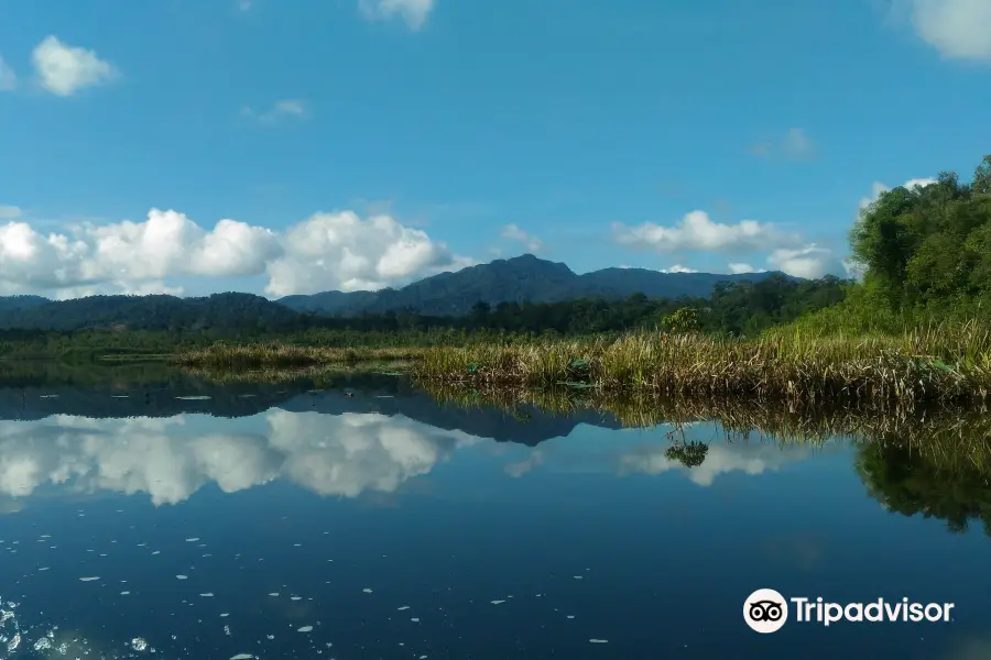 Tasik Chini