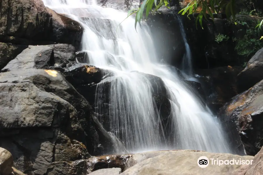 Kanneliya Rain Forest Reserve