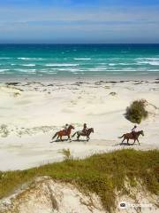 Pearly Beach Horse Trails