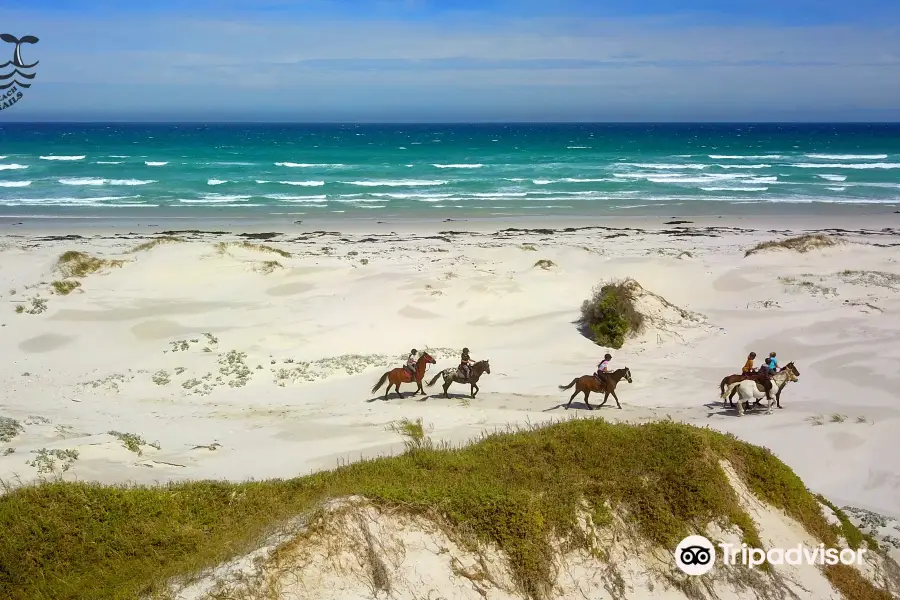 Pearly Beach Horse Trails